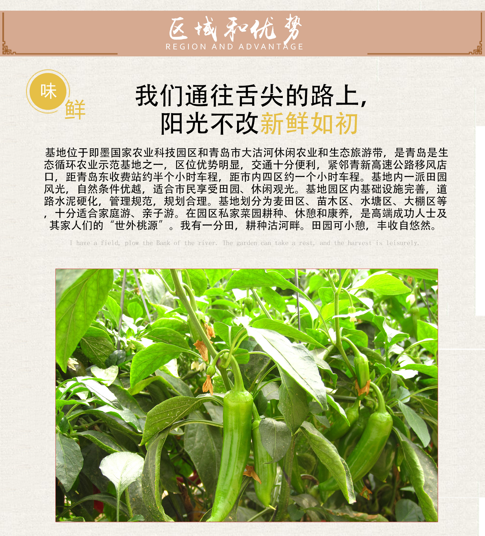 银杏家_05