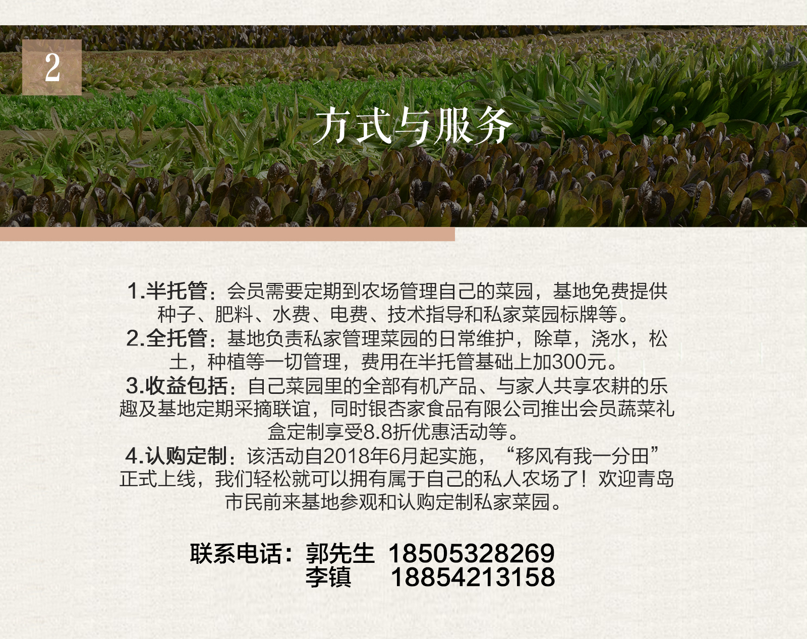 银杏家_07