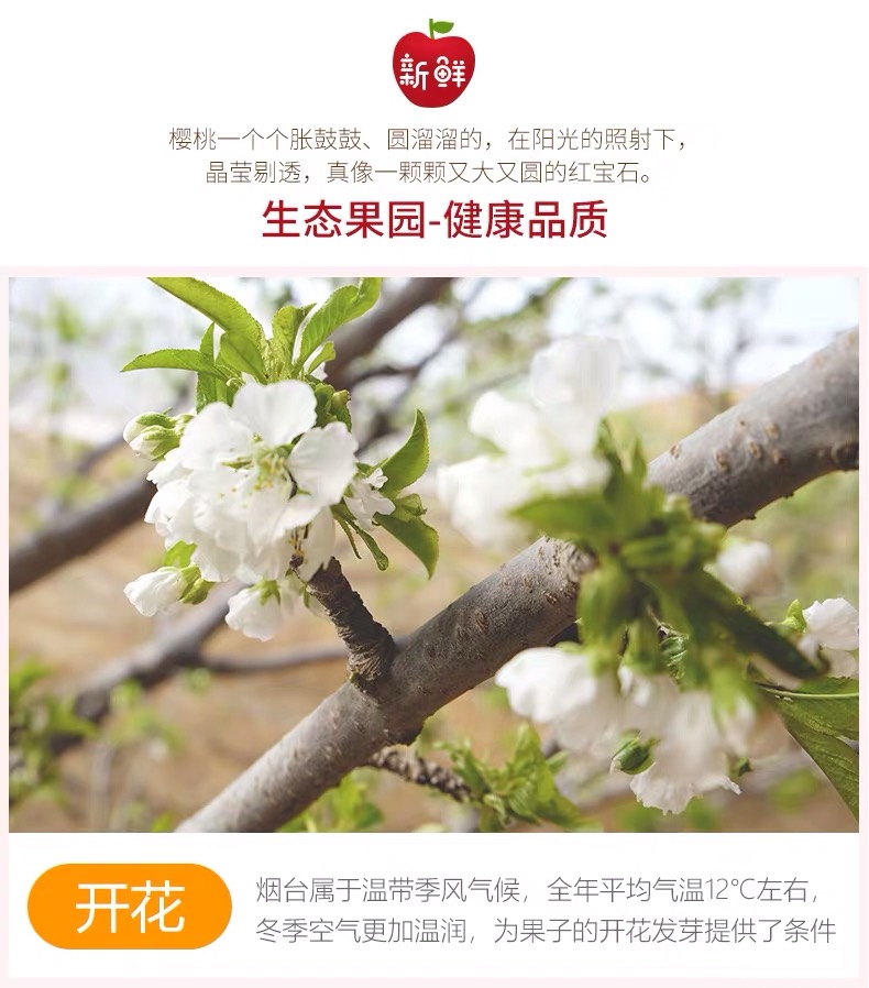 微信图片_2019041014181615