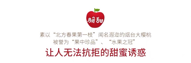 微信图片_201904101418167