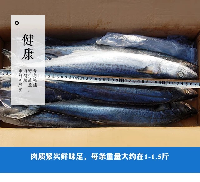 微信图片_201905161453081