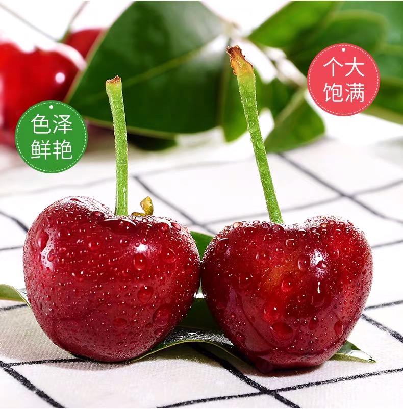 微信图片_201904101418165