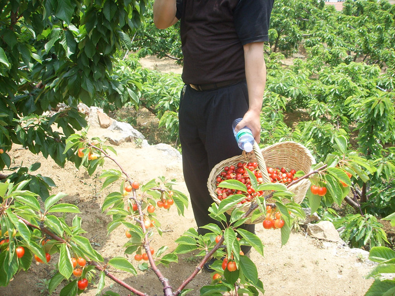 2006060217493992_副本
