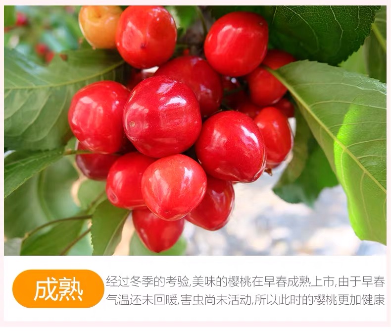 微信图片_2019041014181617