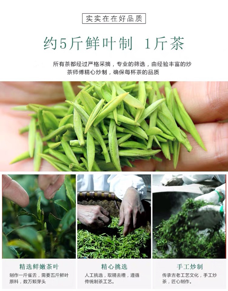 微信图片_201904021323397_副本