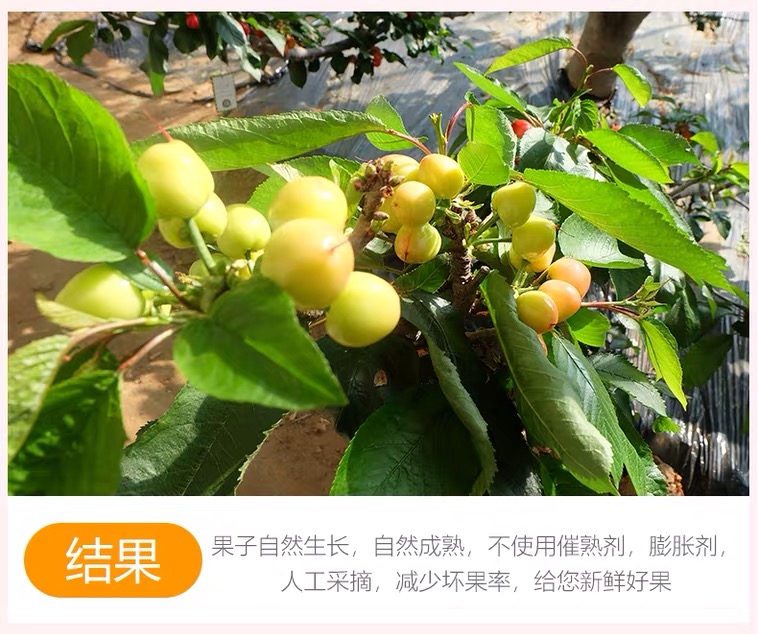 微信图片_2019041014181616