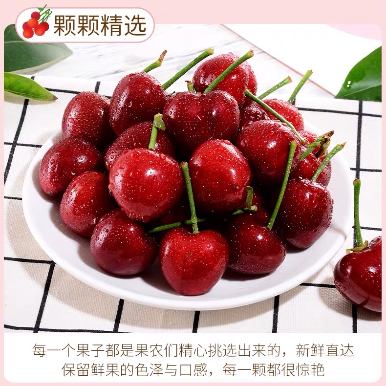 微信图片_201904101418168