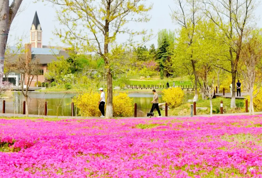 九顶莲花山旅游度假区