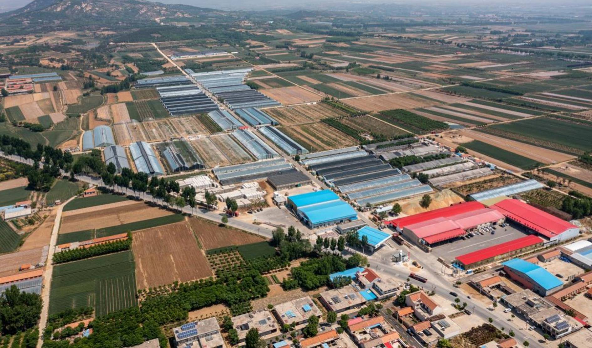 东店子现代农民创业园