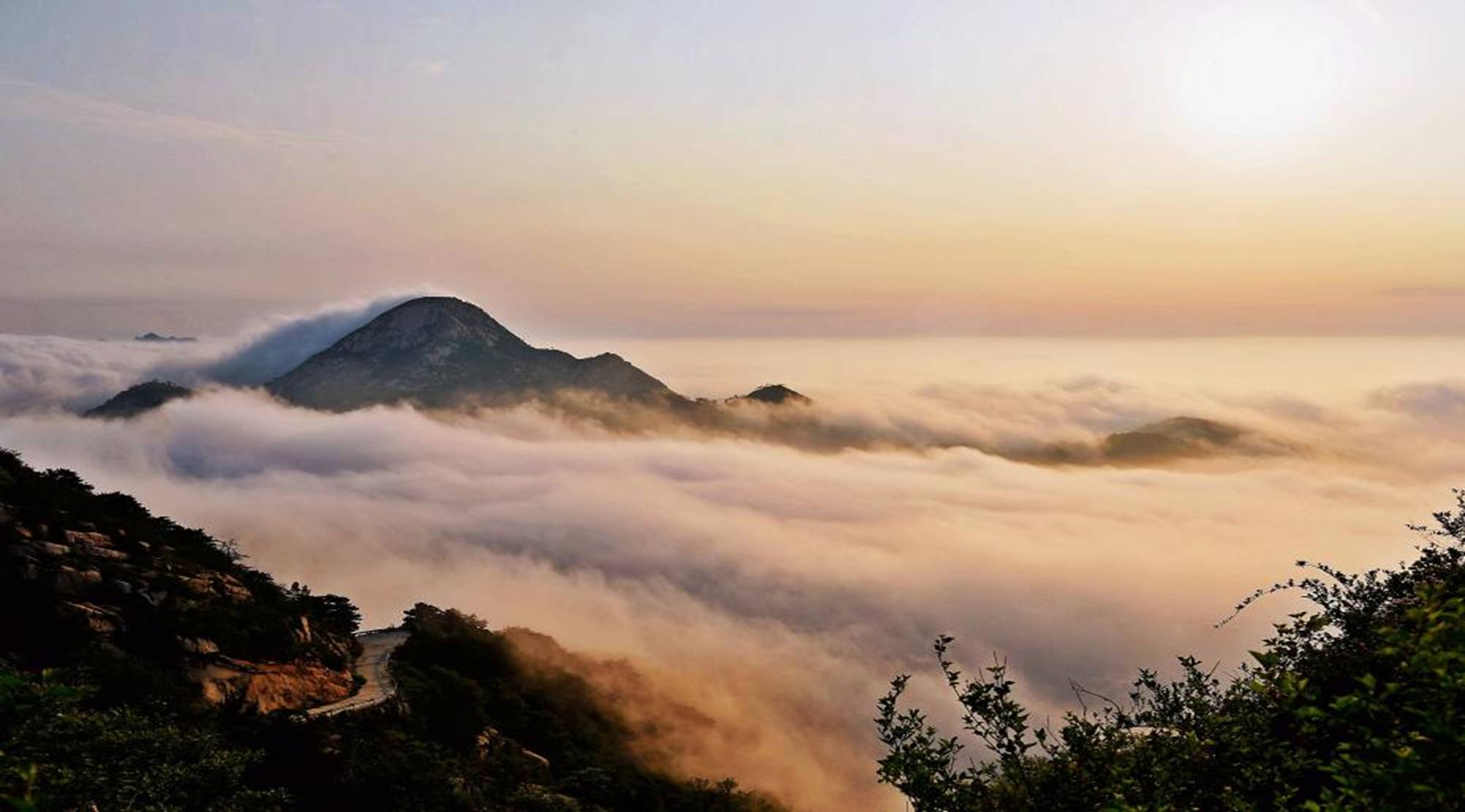 大泽山林场