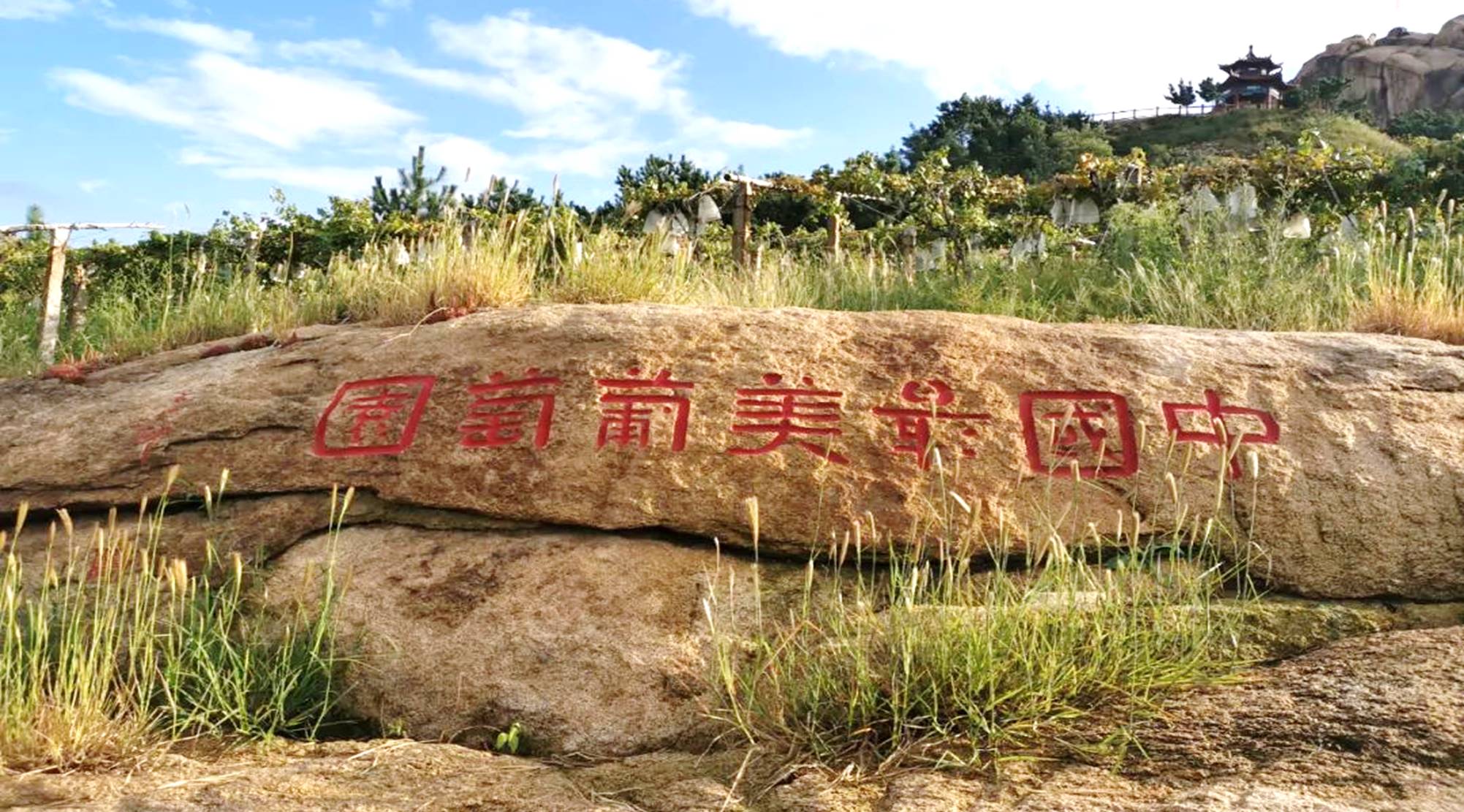 幻灯片3