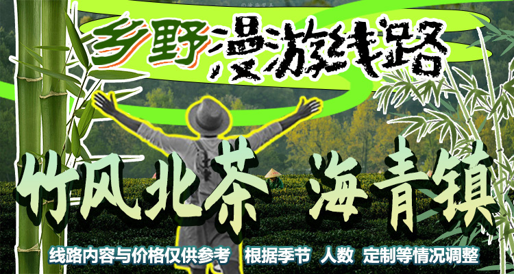 海青镇 | 竹风北茶之源  茶园生活沉浸体验