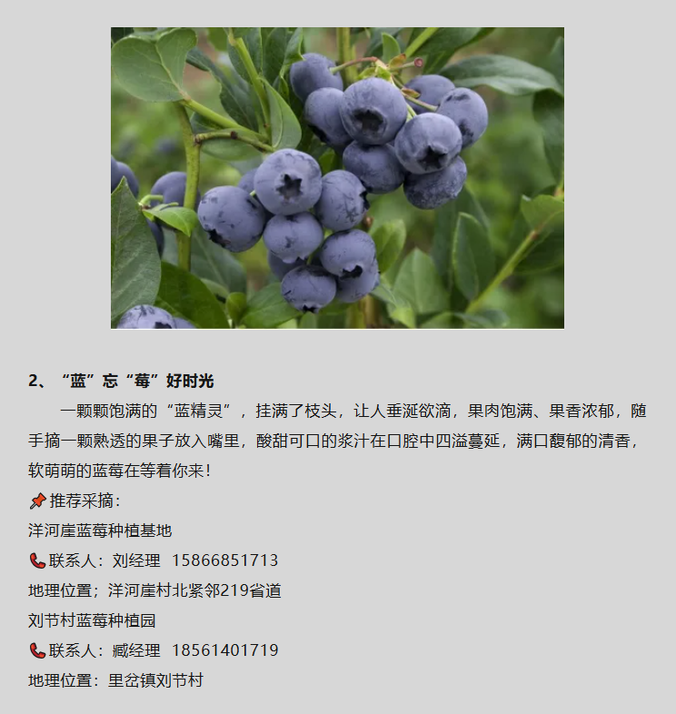 2b3ffc28a767337c1ac43e25e22b3a7