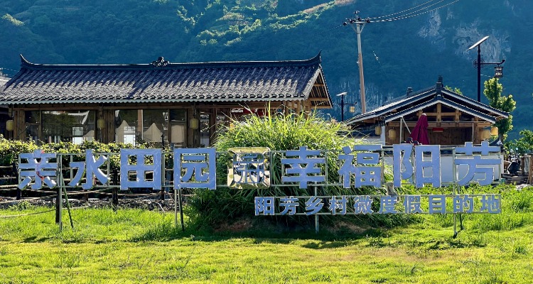 稿定设计-1