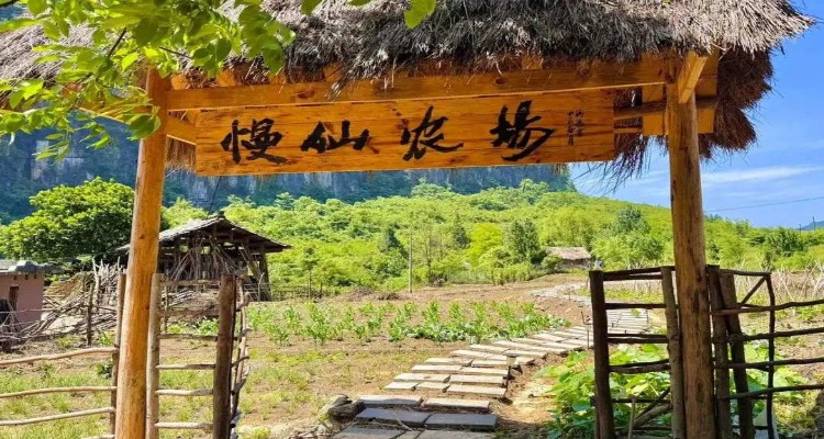 稿定设计-2