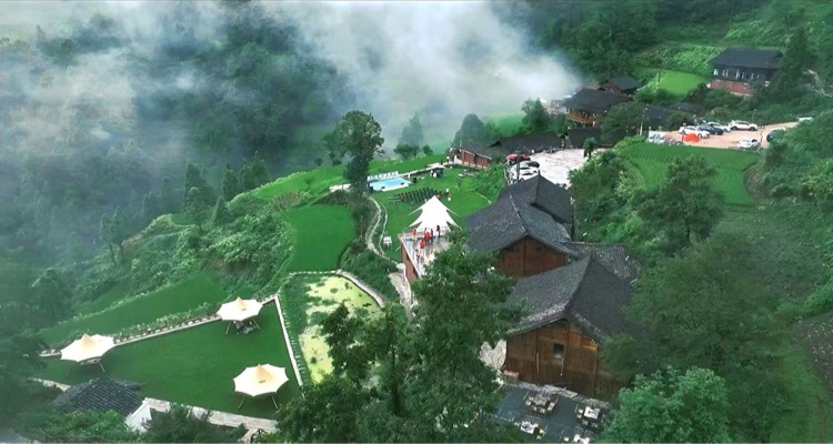 稿定设计-1
